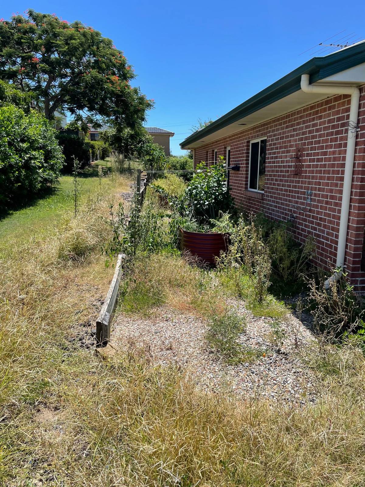 The same Ipswich property overgrown with knee high grass and weeds before the clean up