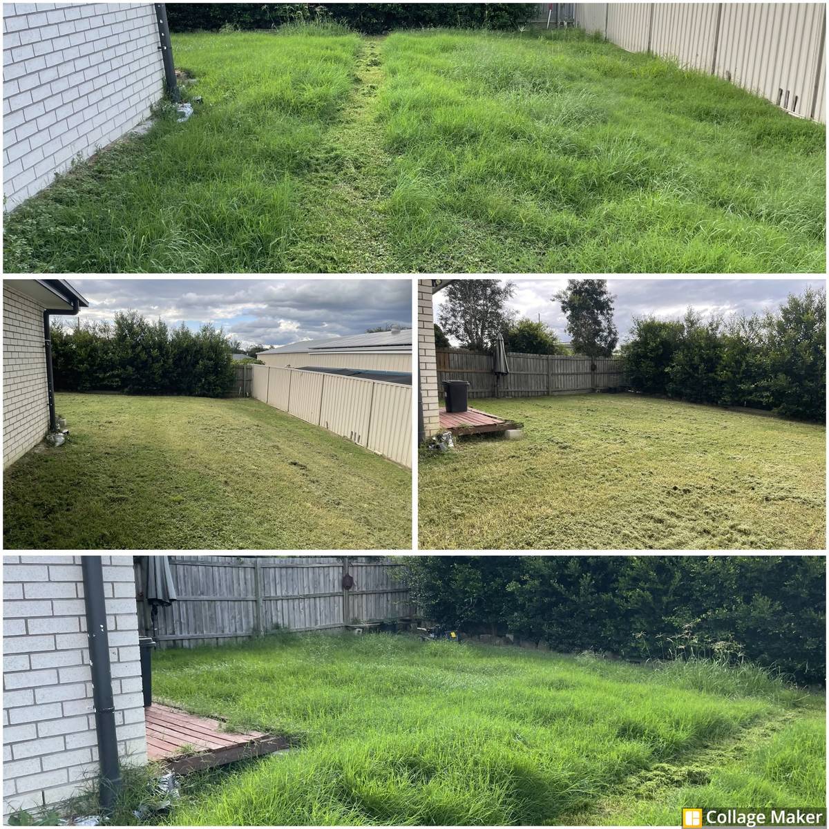 Before and after photos of a knee high Ipswich backyard mowed back to a level tidy lawn